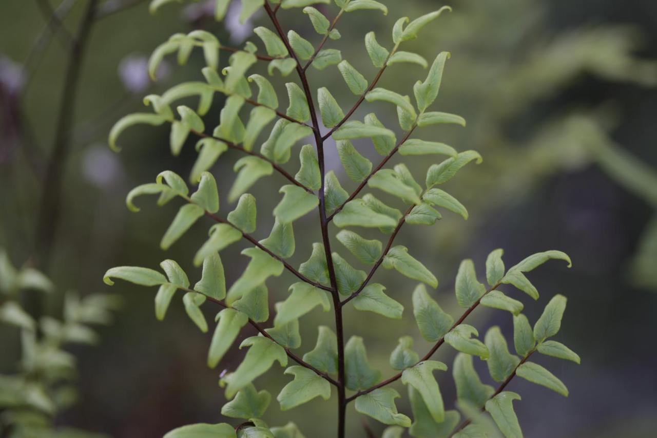 Forest Hills كنيسنا المظهر الخارجي الصورة